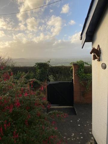 Trinity Cottage 威尔斯浦 外观 照片